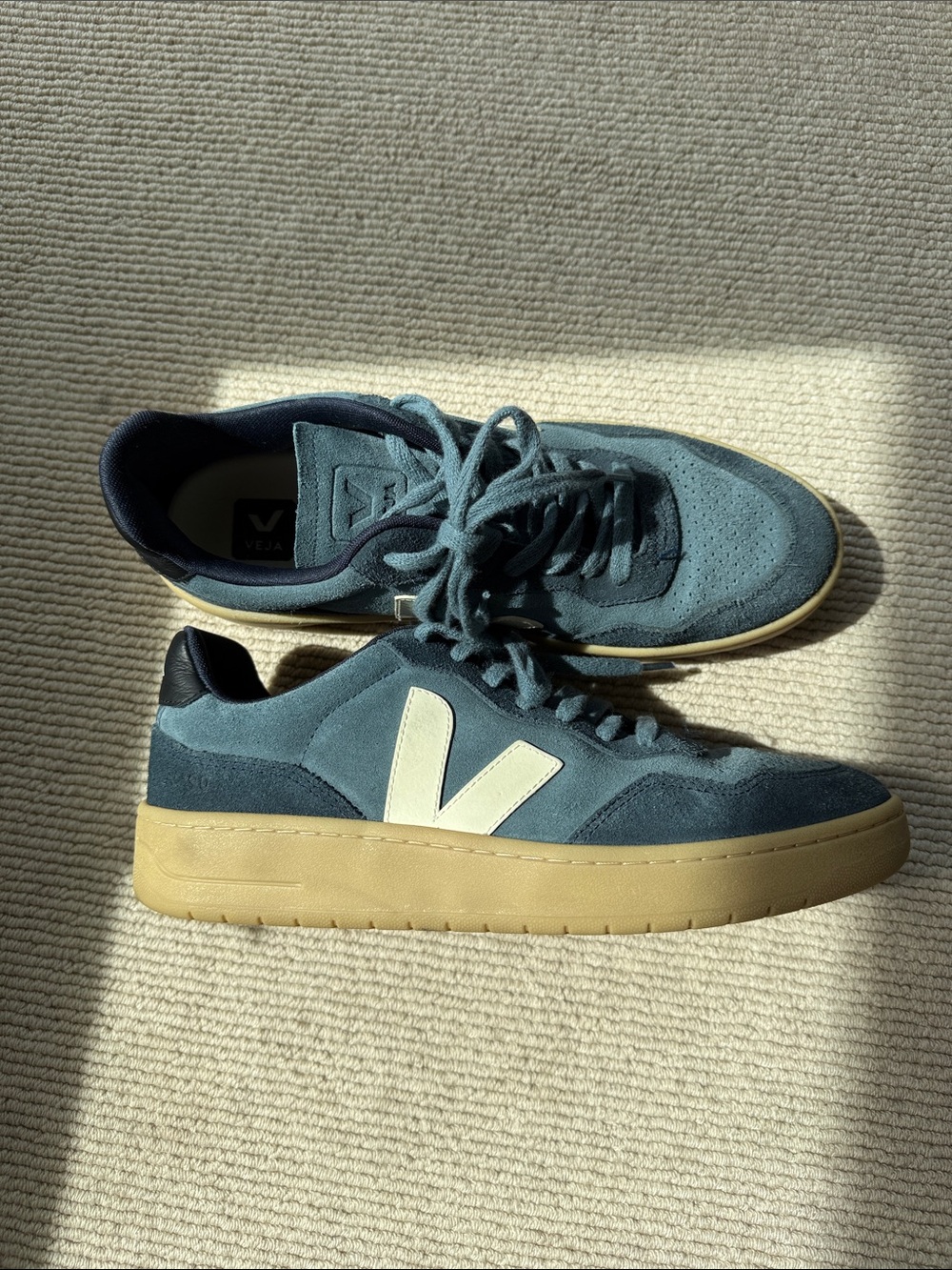Veja Men's V-90 Suede California Pierre